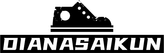 Diana Saikun Shoes LLC